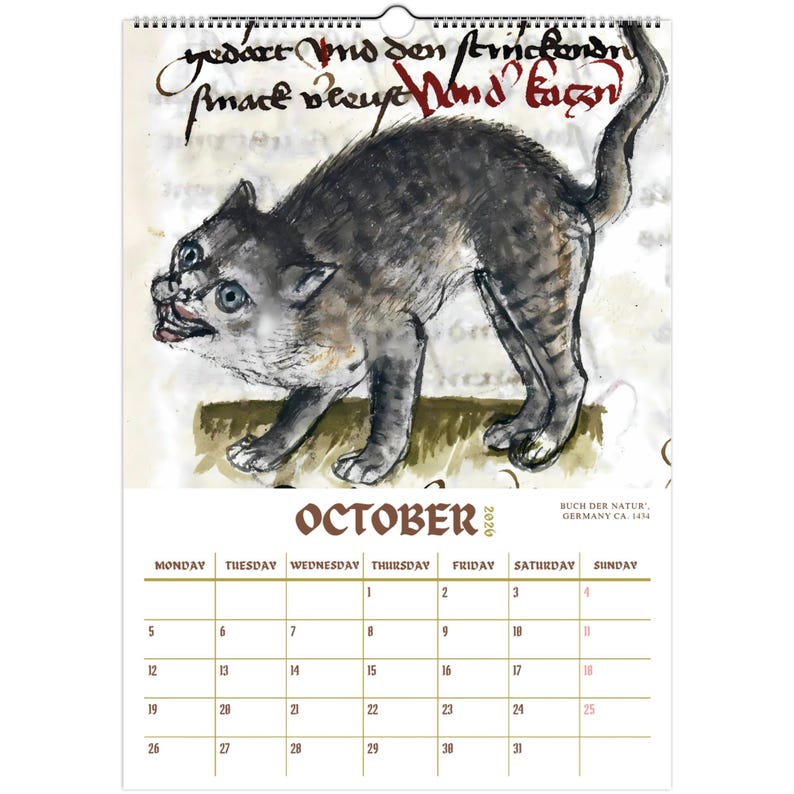 Ugly Medieval Cats 2026 Wall Calendar