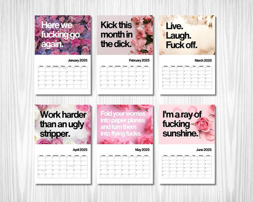 2025 Funny Fuck It Wall Calendar