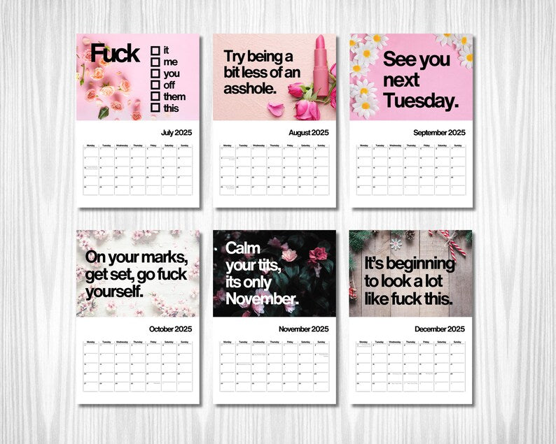 2025 Funny Fuck It Wall Calendar