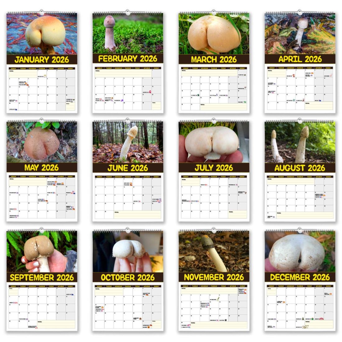 World's Greatest Mushrooms - 2026 Wall Calendar