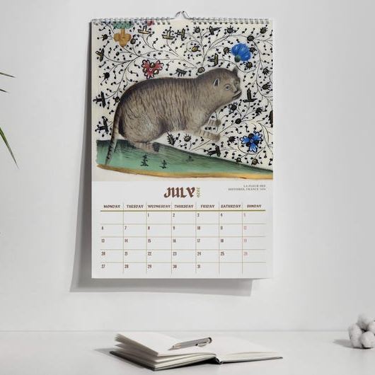 Ugly Medieval Cats 2026 Wall Calendar